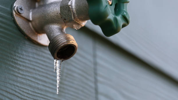 Best Shower Repair Services  in Mundelein, IL